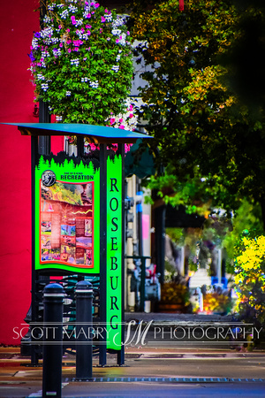 DSC_2580-2